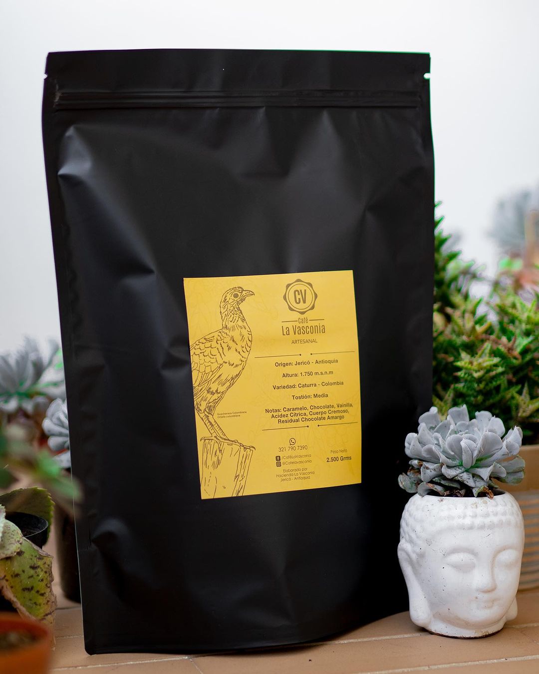 Café La Vasconia | Variedad Caturra 2.5kg